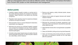Bacterial diseases of herbaceous perennials